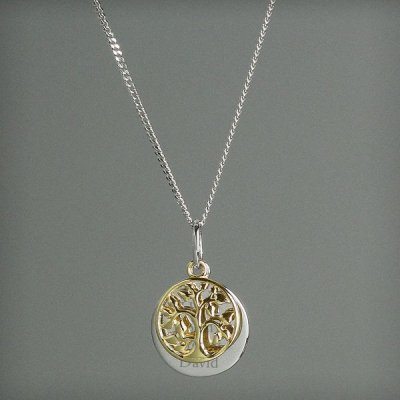 (image for) Personalised Sterling Silver & 9ct Gold Family Tree Necklace