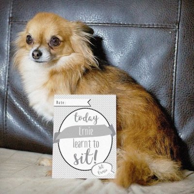 (image for) Personalised Puppy Cards: For Milestone Moments