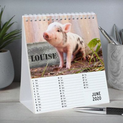 (image for) Personalised Cute Animals Desk Calendar