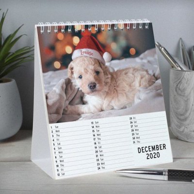 (image for) Personalised Cute Animals Desk Calendar