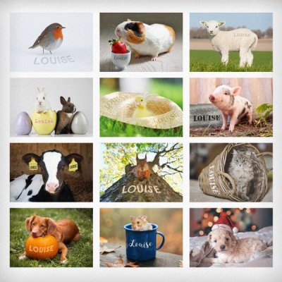 (image for) Personalised Cute Animals Desk Calendar