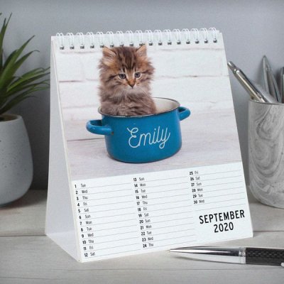 (image for) Personalised Cats and Kittens Desk Calendar