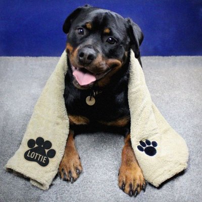 (image for) Personalised Paw Print Brown Microfiber Pet Towel