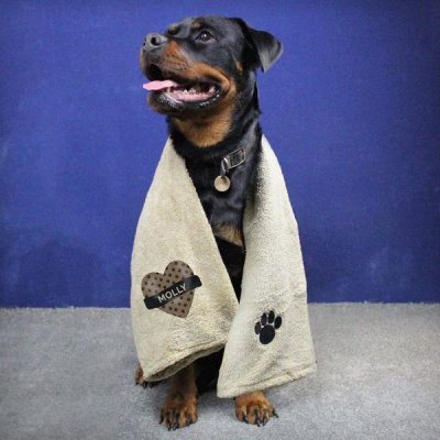 (image for) Personalised Heart Brown Microfiber Pet Towel