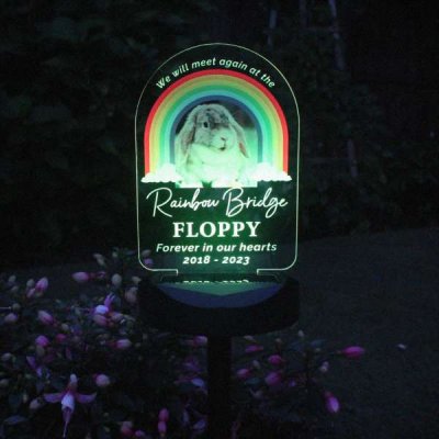 (image for) Personalised Rainbow Bridge Pet Memorial Outdoor Solar Light