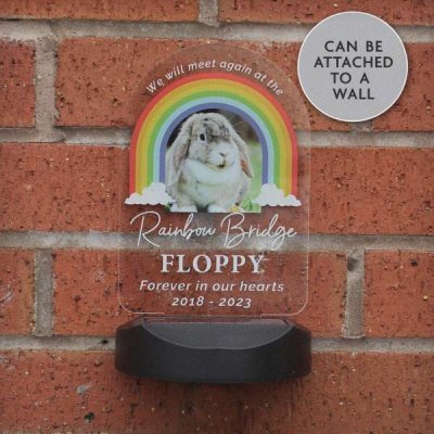 (image for) Personalised Rainbow Bridge Pet Memorial Outdoor Solar Light