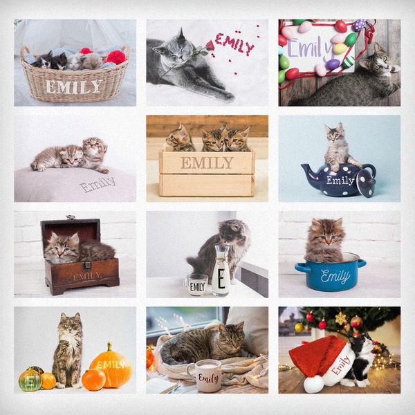 Modal Additional Images for Personalised Cats and Kittens Desk Calendar